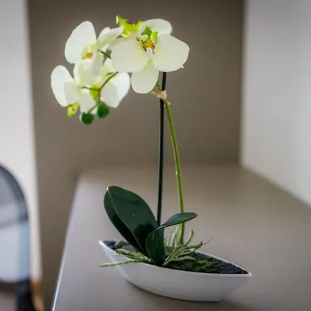 With Pool Near Beautiful Sandy - By Traveler Tourist Agency Krk - Id 2506 Villa *