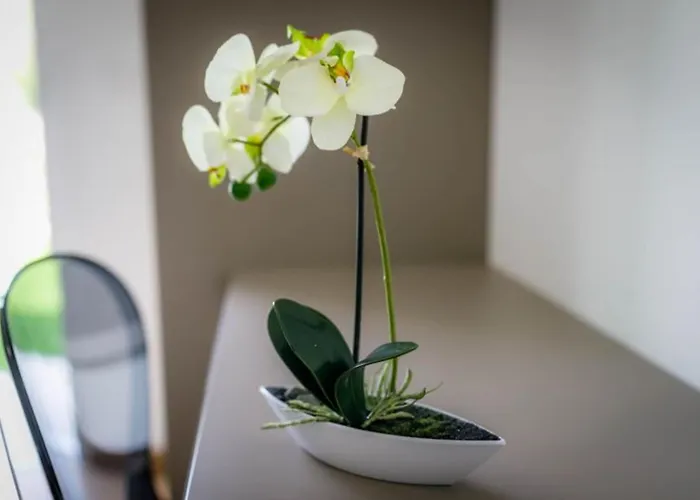 With Pool Near Beautiful Sandy - By Traveler Tourist Agency Krk - Id 2506 Villa *